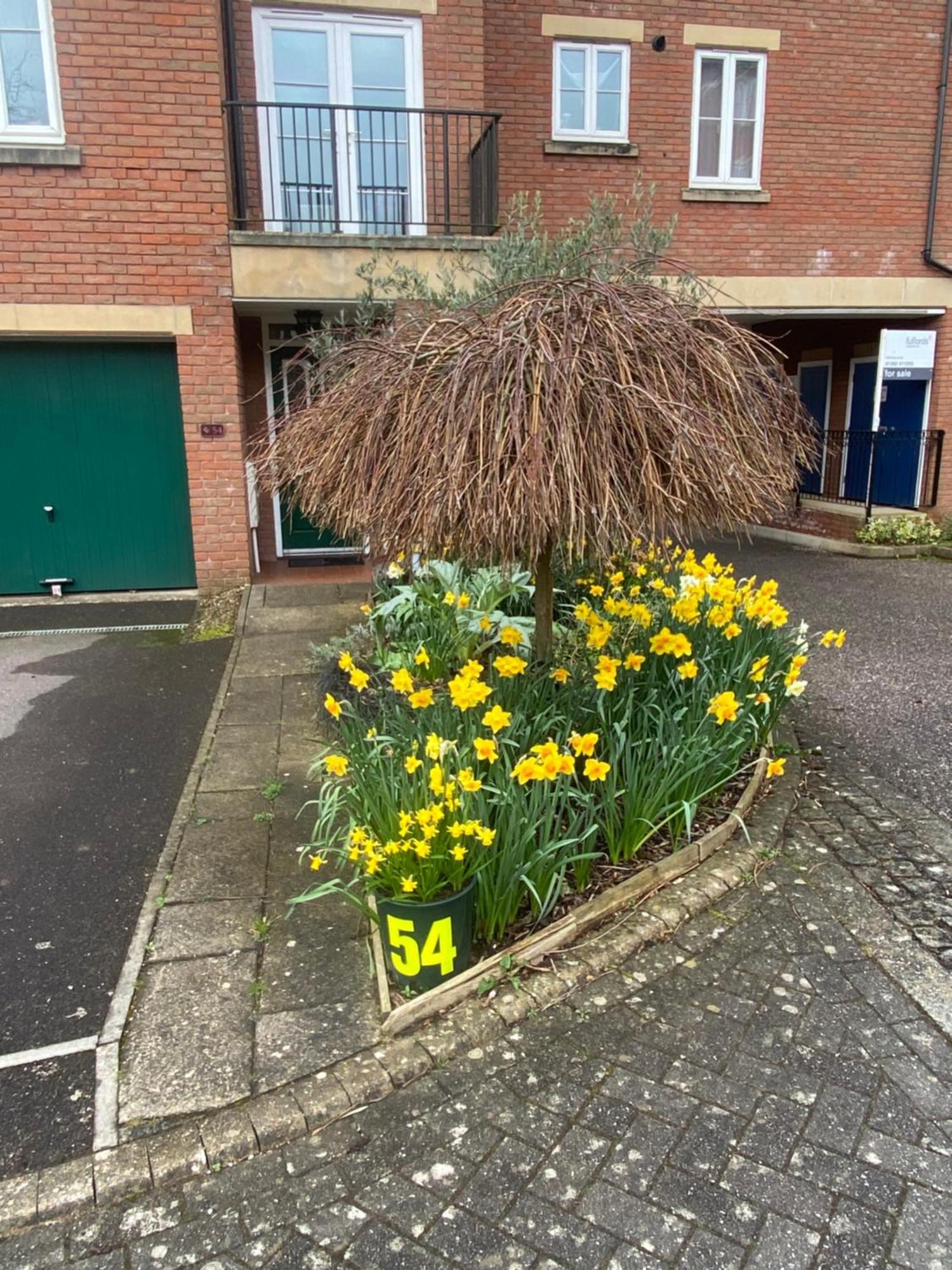 Gras Lawn B&B Exeter Dış mekan fotoğraf