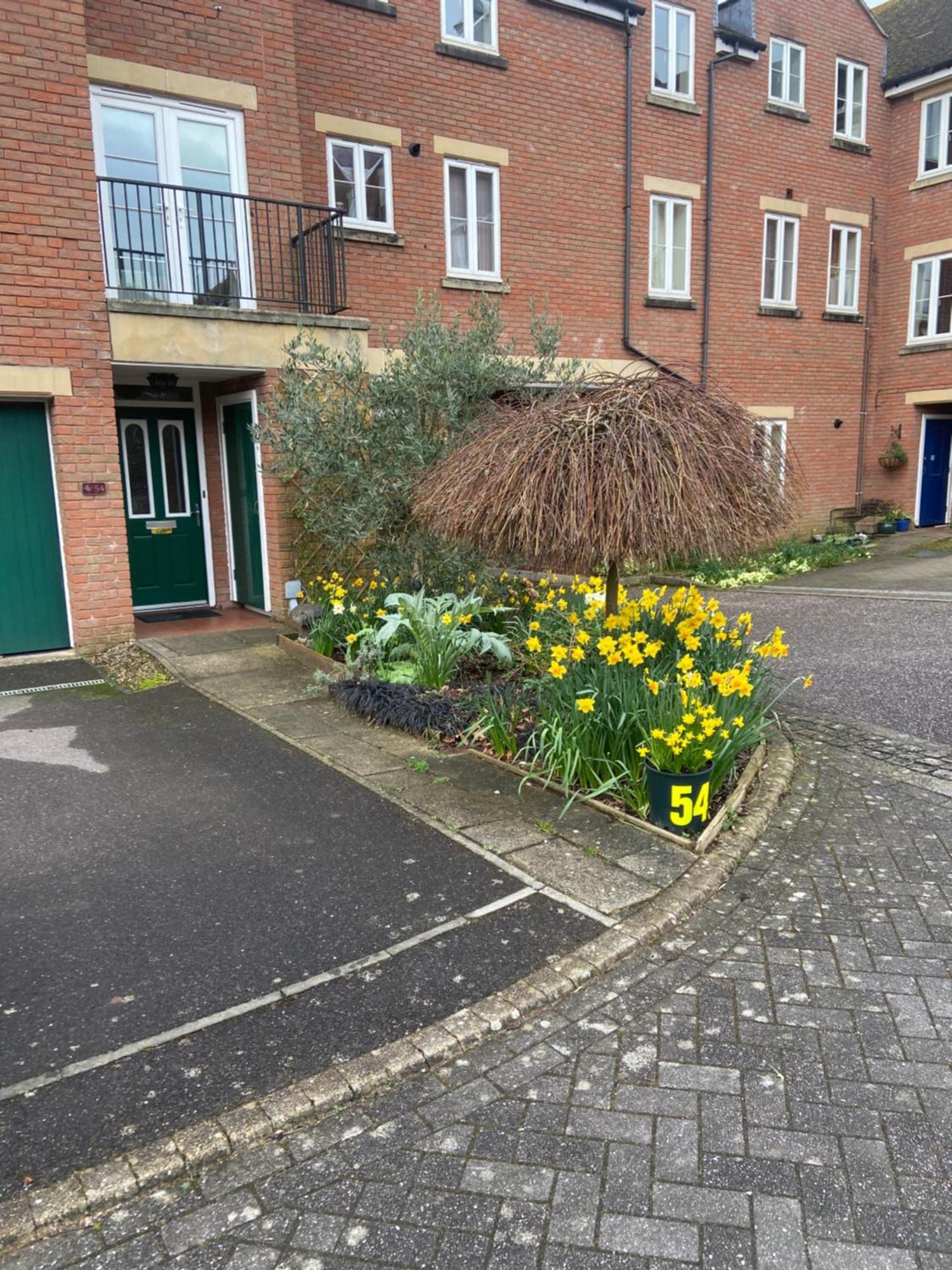 Gras Lawn B&B Exeter Dış mekan fotoğraf
